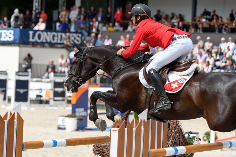 FEI European Championships 2019 Rotterdam Wist u datjes