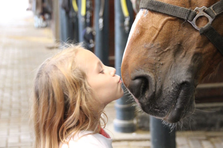 Vakantieschool Basisonderwijs2 2016
