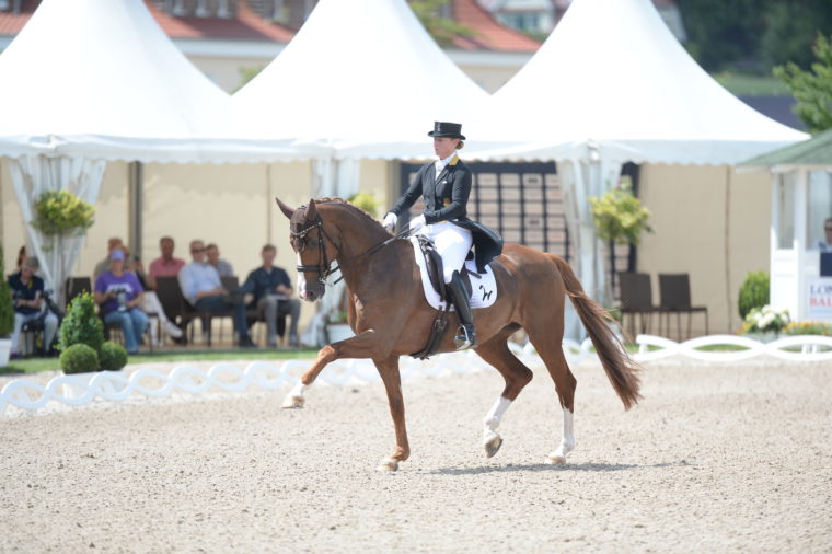 Werth Siegerin Foto Marc Gr Feldhaus