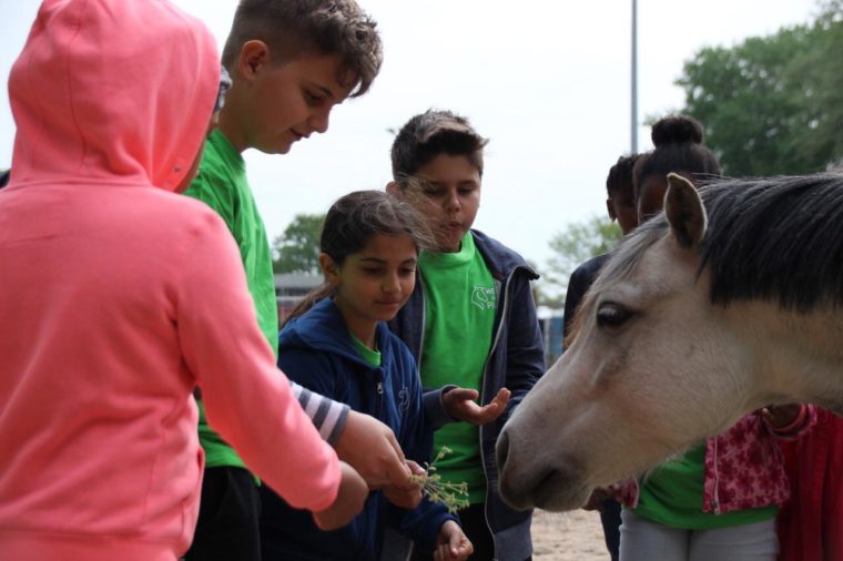 Whats App Image 2019 05 06 at 11 33 512