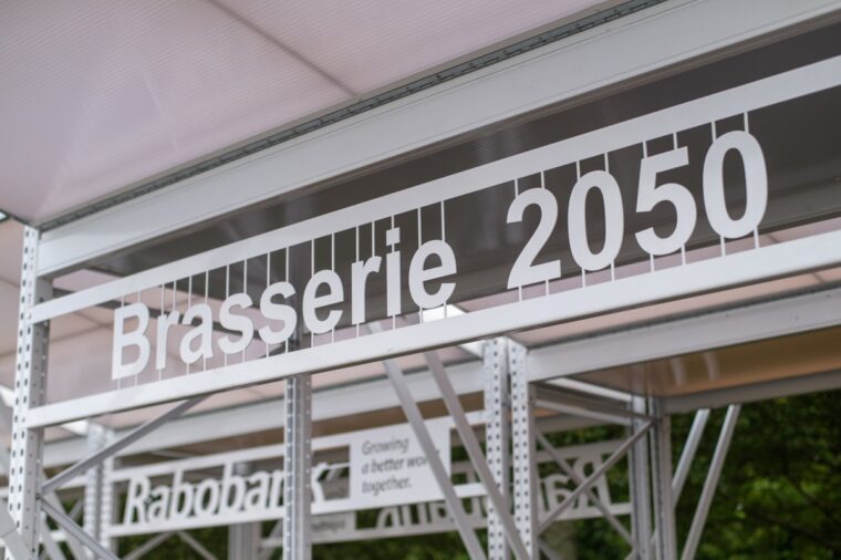 Whats App Image 2019 08 15 at 17 53 37