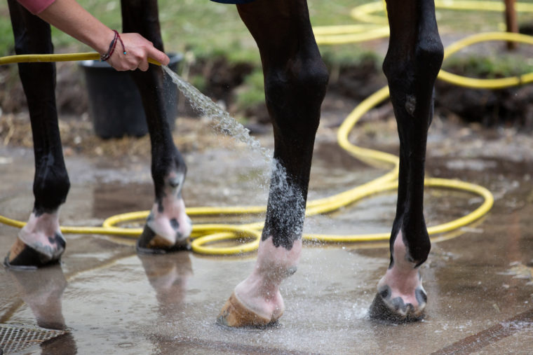 Rsz_dv_afspuiten-05327