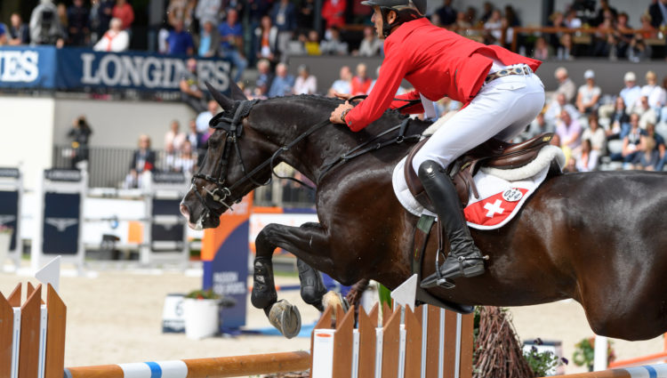 FEI European Championships 2019 Rotterdam Wist u datjes