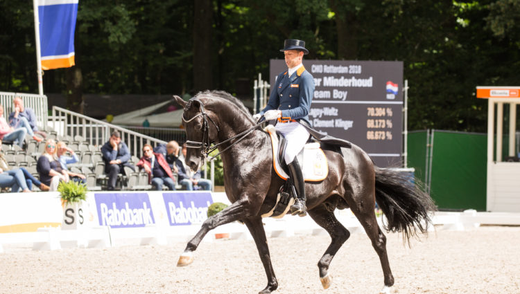 Jp Img 6305 Chio2018 260 Hans Peter Minderhoud Glocks Dream Boy Ned