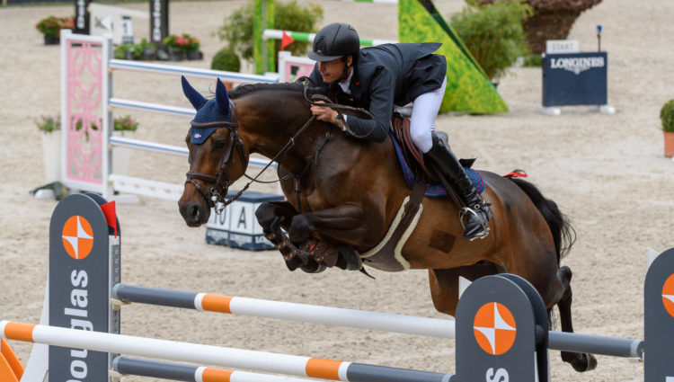 NB Leopold van Asten VDL Groep Miss Untouchable NED D515443