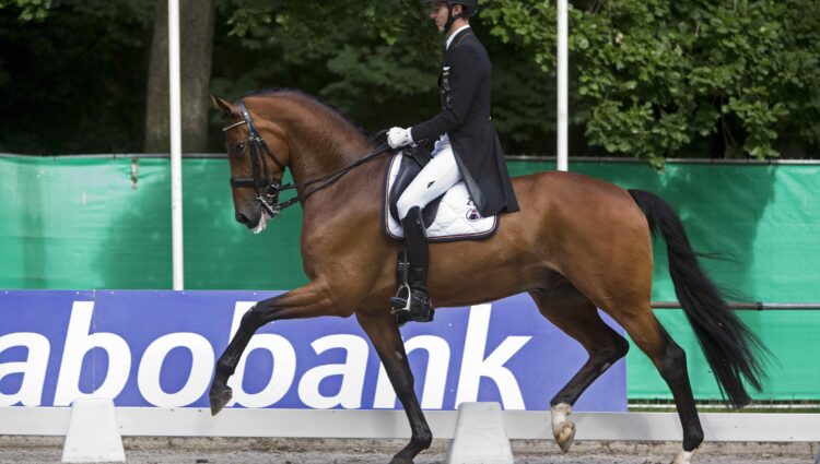 ROTHENBERGER Sonke COSMO 59 2