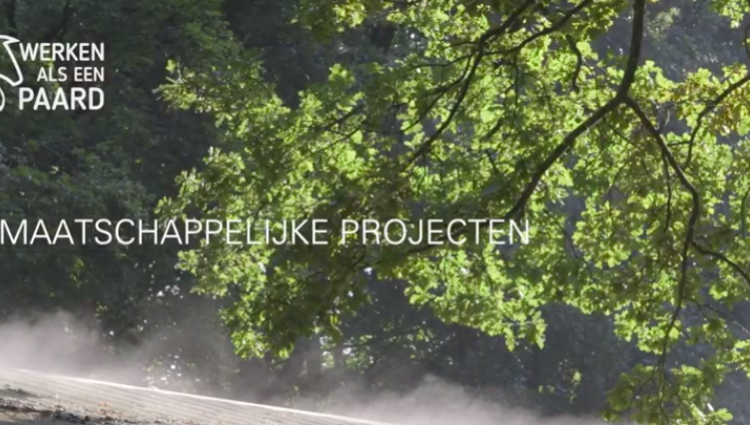 Schermafbeelding 2019 06 15 om 14 20 07