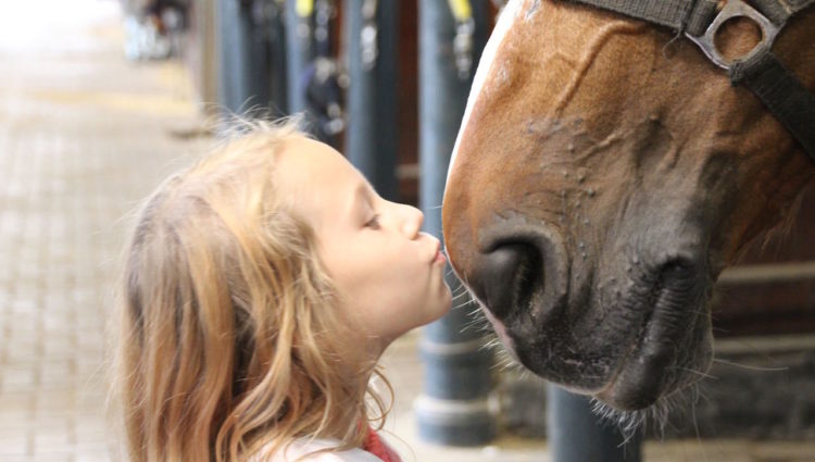 Vakantieschool Basisonderwijs2 2016