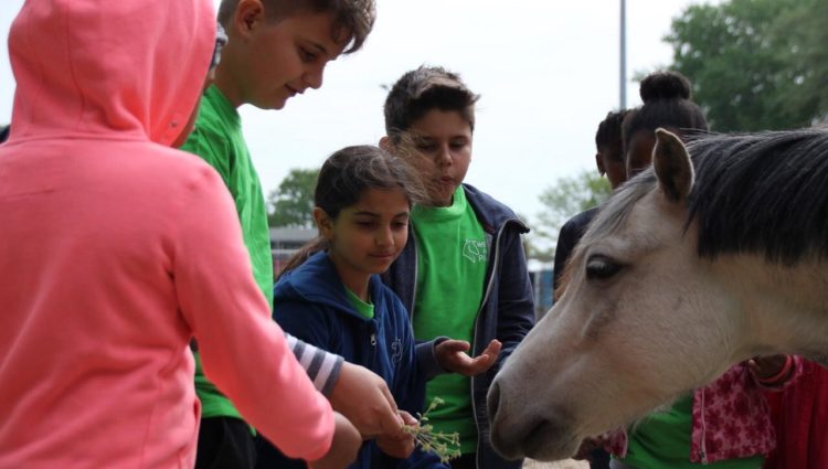 Whats App Image 2019 05 06 at 11 33 512