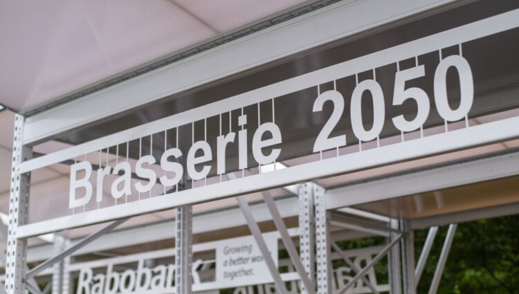 Whats App Image 2019 08 15 at 17 53 37