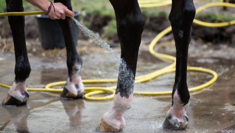 Rsz_dv_afspuiten-05327